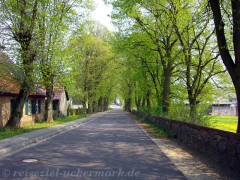 Uckermark Dorfstraße Frühling
