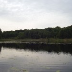 Der Küchenteich